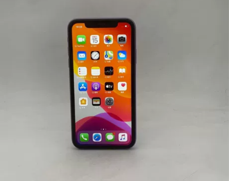 Apple/苹果 苹果 iPhone 11...