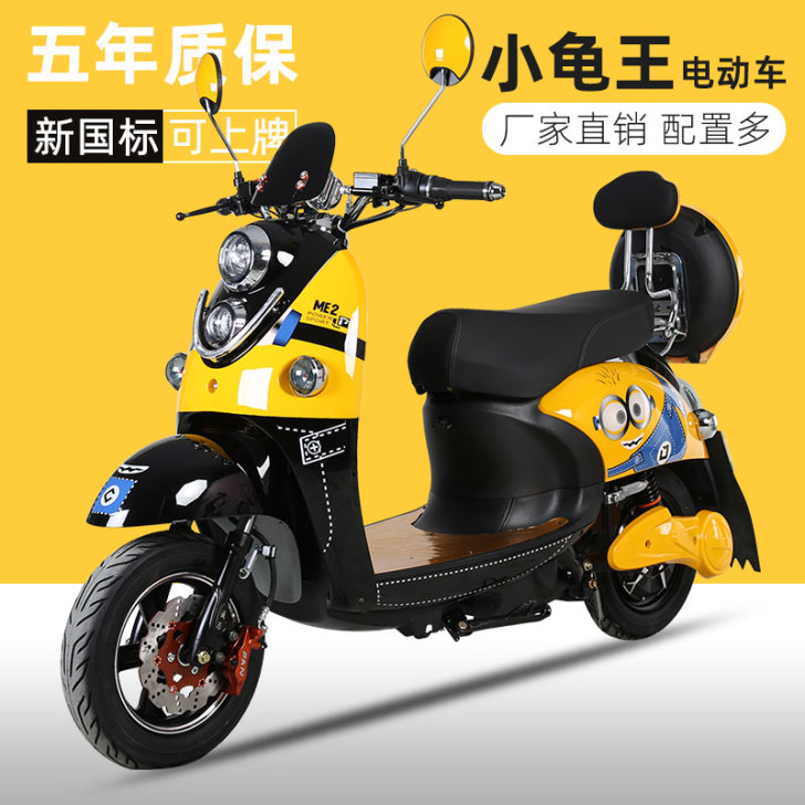 海戈小龟王电动车48V60V新国标电瓶踏板...