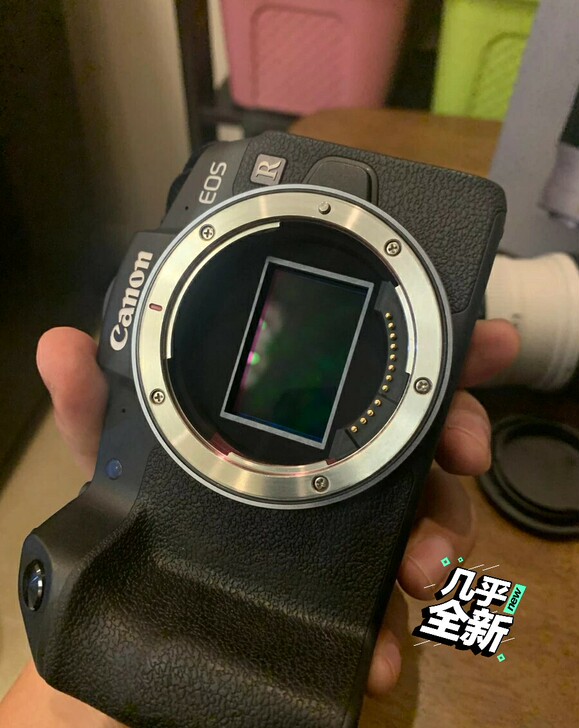 佳能 eos rp + 转接环 +红圈变焦...