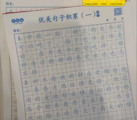 4本优美句子积累字帖小学生专用练字贴比喻拟...