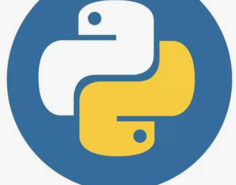 Python，国内外编码辅导，代码排错，环...