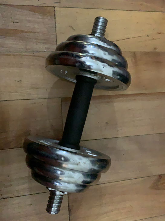 哑铃一只7成新 10公斤