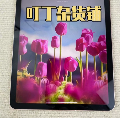 出个人自用95新 ipad air4 20...