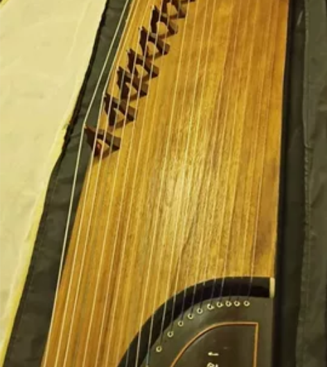 原价1000多的古筝，现价500出。 感兴...