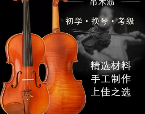 中堤小提琴专业级儿童初学者入门手工成人考级...