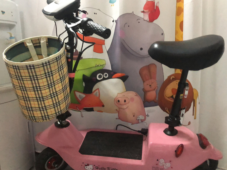 折叠轻便型电动车