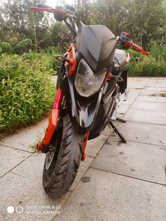 出售小猴电摩，全新6块32电瓶，新充电器，...