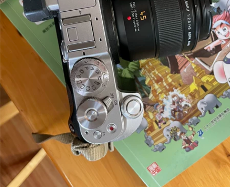 Panasonic/松下 单电微单 GX8...