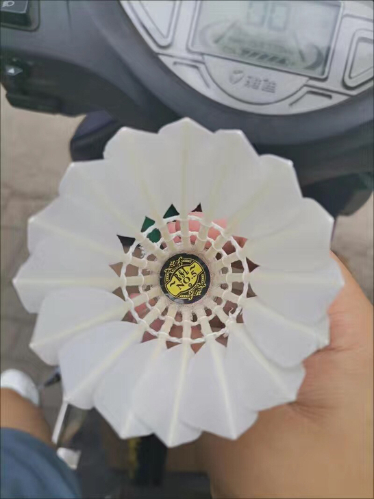 羽毛球耐打亚狮龙羽毛球7号4号3号6号5号...