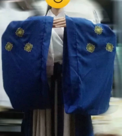 汉服侠客风女中国风交领飘逸魏晋风红色秋古装...