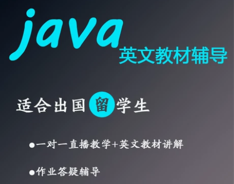 计算机 留学生java英文课程一对一指导c...