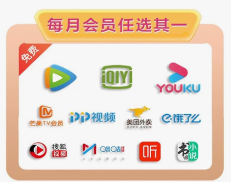 全网视频会员 腾讯视频 爱奇艺 优酷会员官...
