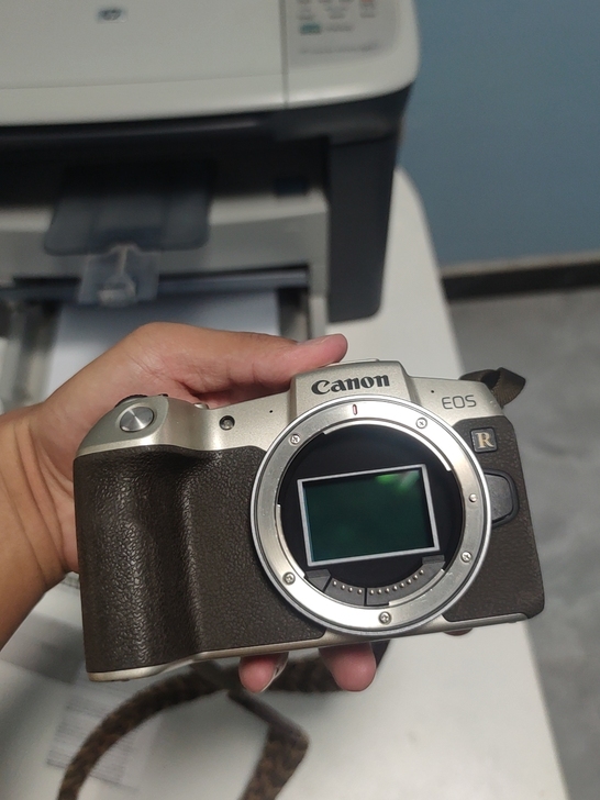 佳能 eos rp 奥运香槟版