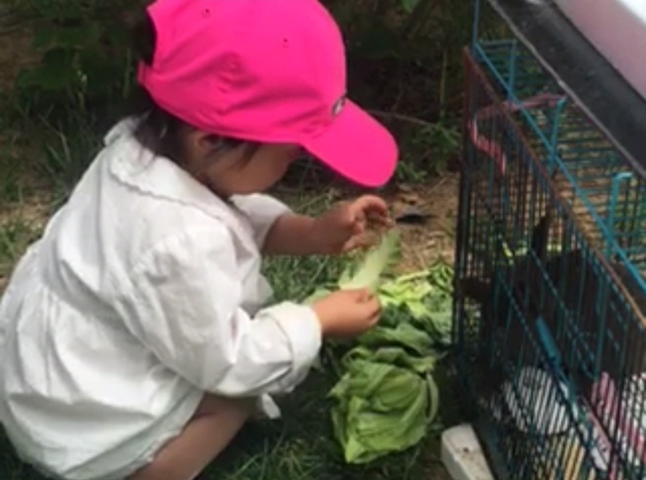 出阿迪达斯女童运动帽子一顶，枚红色，实际颜...