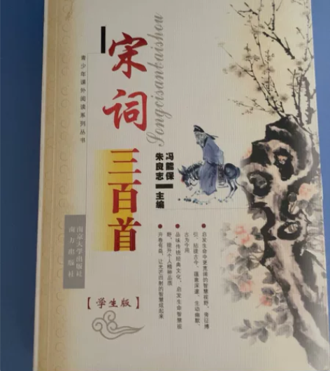 宋词三百首 里面几乎全新 学生版 可上学用...