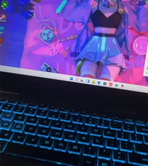 ?机械革命钛钽plus  独显直连满血30...