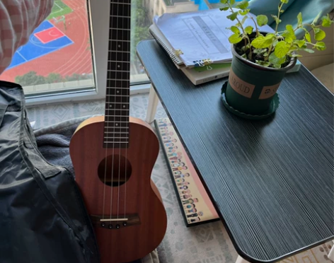 尤克里里 感兴趣的话点“我想要”和我私聊吧～