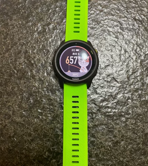 Garmin佳明 Forerunner 7...