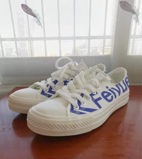 【个人闲置】全新大孚飞跃白色潮流帆布鞋，鞋...
