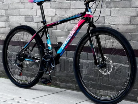 要账打开的，山地自行车24/26寸。21速...