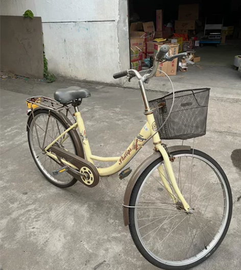 正品菲利普自行车，奶奶买的，由于身体原因没...