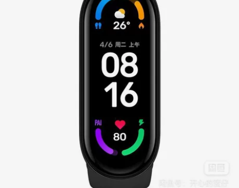 小米6手环 刚入两个月,基本没戴过,成色嘎...