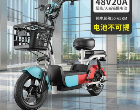 深圳龙岗龙东同城自提新国标电动车小型车女雅...