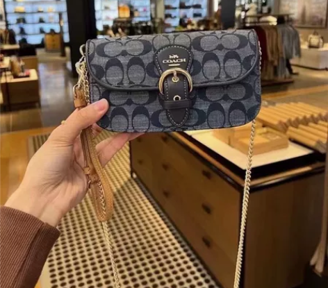 coach  女士迷你斜挎 单肩 手拿包。...