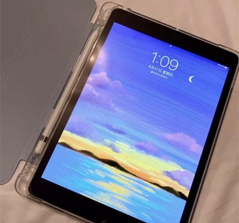 Ipad 2020 无划痕 毕业时买来画...