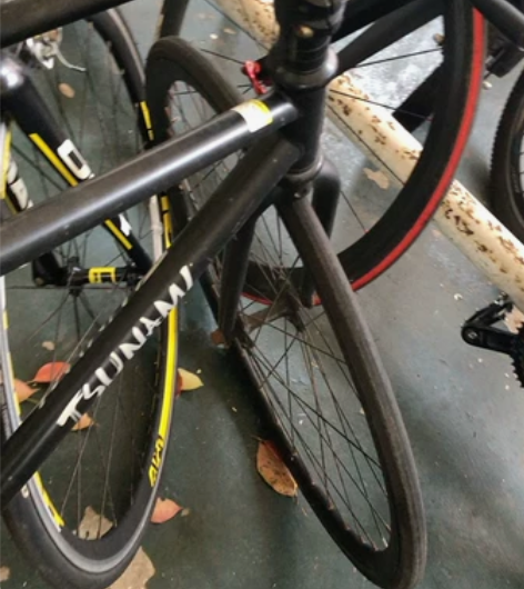 海啸(自行车) 死飞! 停学校车棚里太久没...