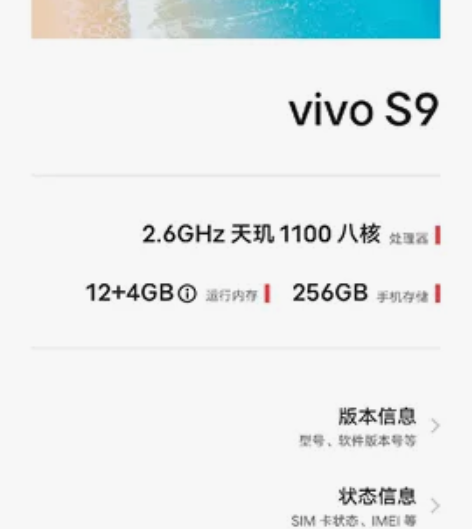 vivos9线下手机店买的，自用，12+2...