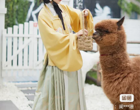 标价收都城南庄小狐狸一套，L码，两种颜色都...