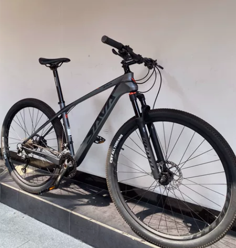 sava山地车 碳纤维山地车 SAVA复仇...