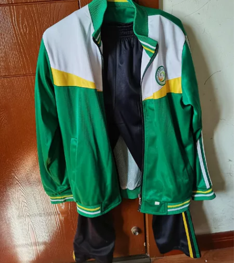 小学校服,天府新区华阳锦江小学秋季校服,娃...