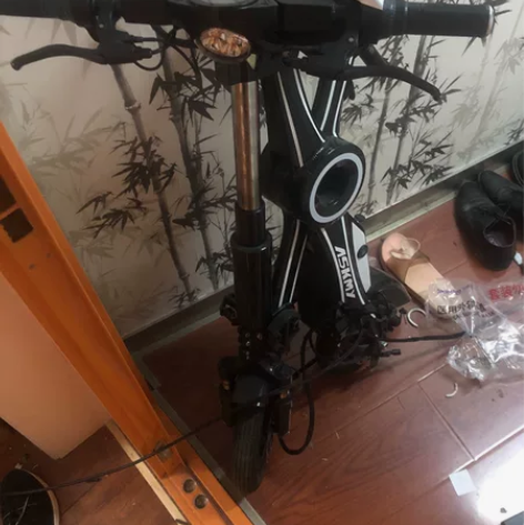 折叠电动车，恩斯迈，电动车，电池跑不多，也...