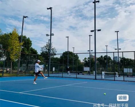 广州天河网球一对一基础教学，陪练拉球练习，...