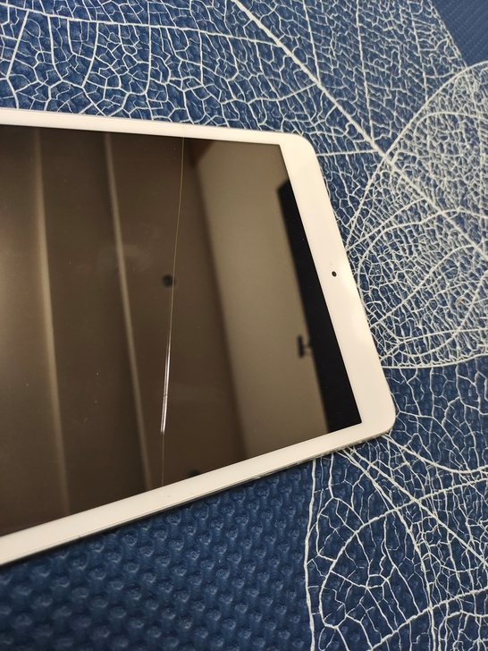 ipad mini一代，16G，从来没修过...