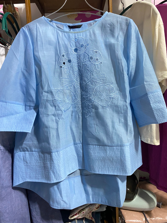 素色刺绣圆领上衣、前短后长有点类似欧根纱加...