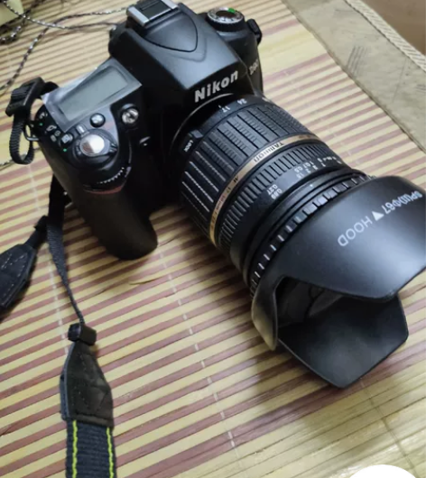 个人私出，尼康D90半画幅相机，配的腾龙的...