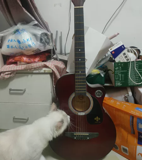 吉他基础入门，放着积灰了便宜出 感兴趣的话...