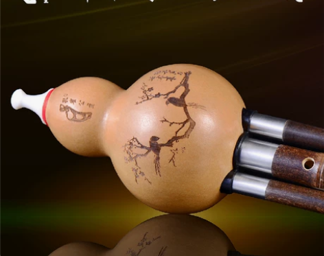 葫芦丝 葫芦丝初学高级专业演奏型云南孔雀公...