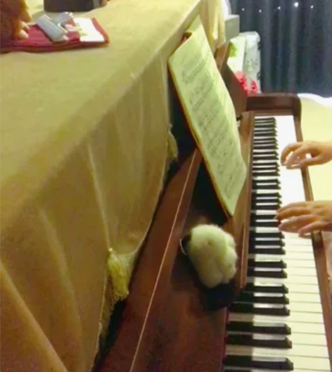 韩国三益钢琴 声音清亮动听，按键紧实回弹好...