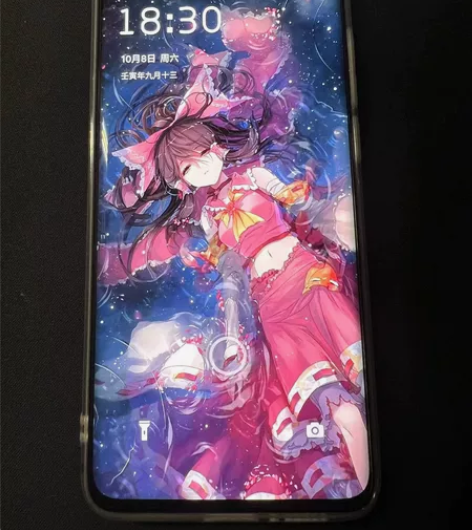 魅族18s evo独角兽，8+256g在保...