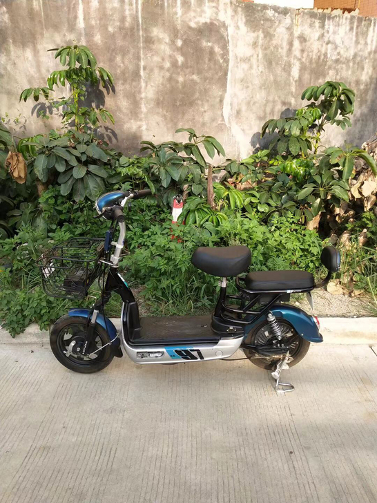 二手绿源电动车