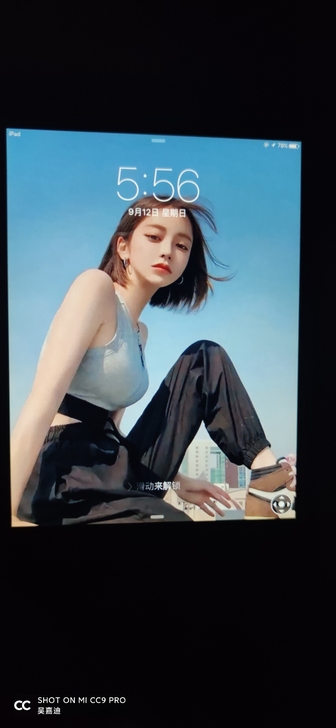 苹果 iPad mini (2012) ...