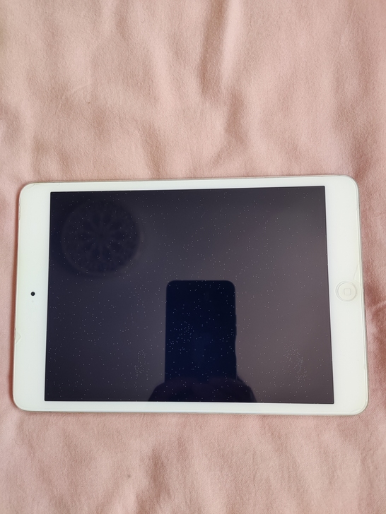Apple iPad mini 2 平板电...