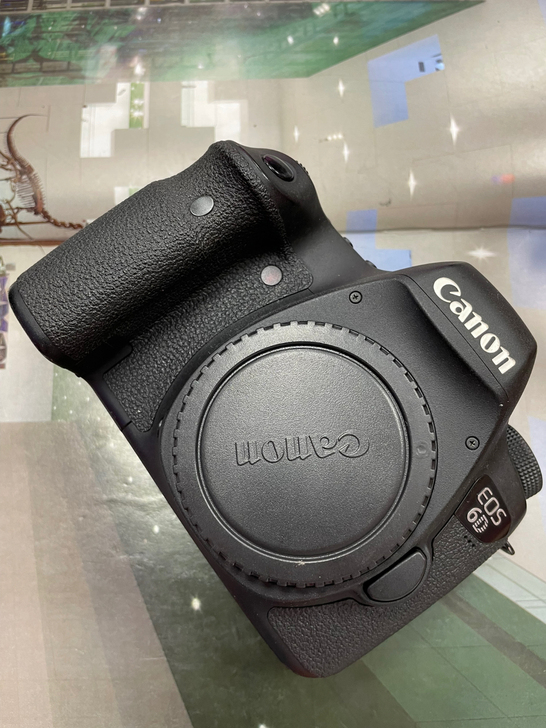 佳能6D 成色95新 实图实拍 原装电池充...