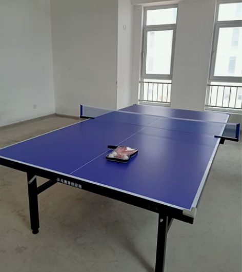 包邮特价家用可折叠式标准室内乒乓球桌案子带...