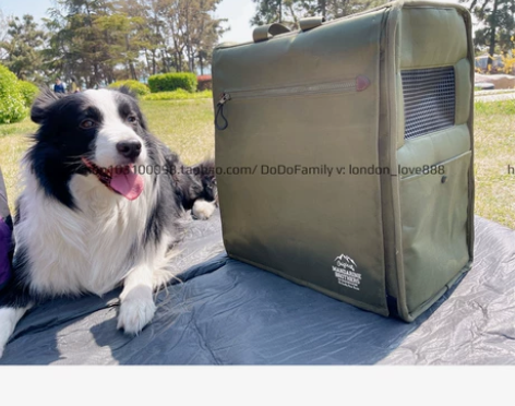 Mandarine brothers曼德瑞...