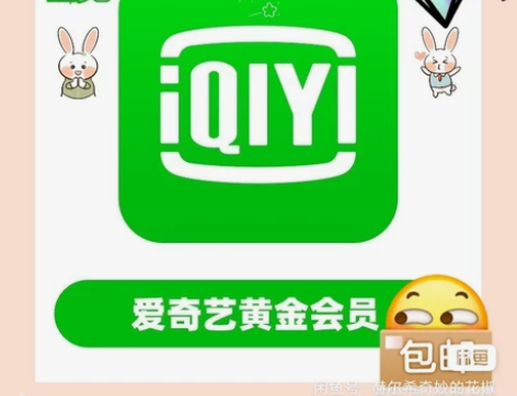 爱奇艺会员半年直充55 爱奇艺会员卡，给您...